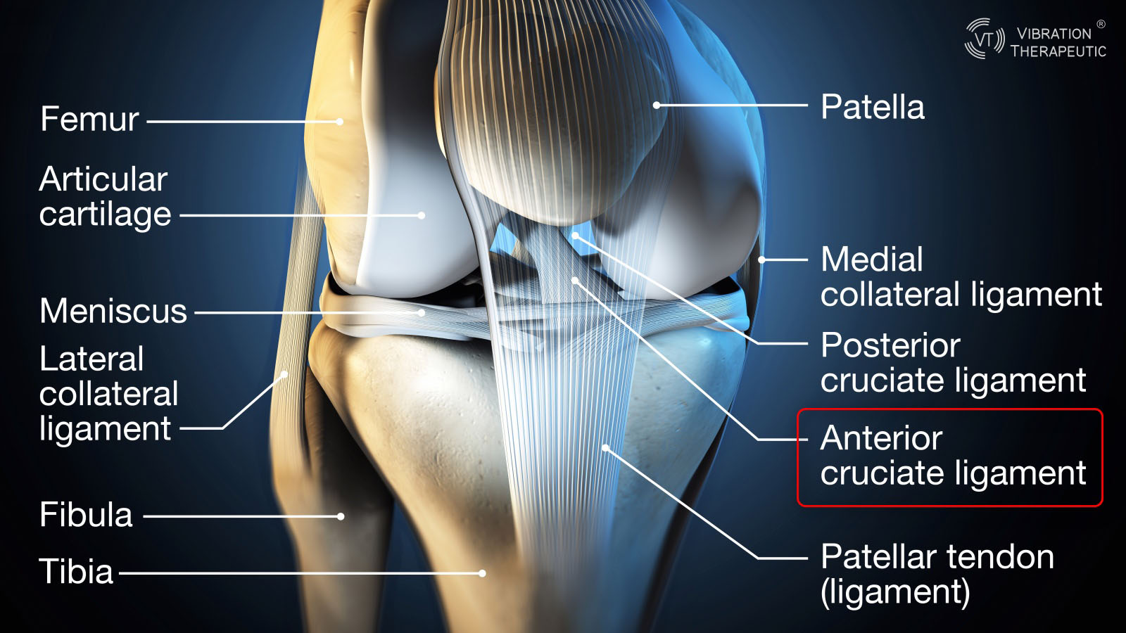 vibration therapy for ACL injury